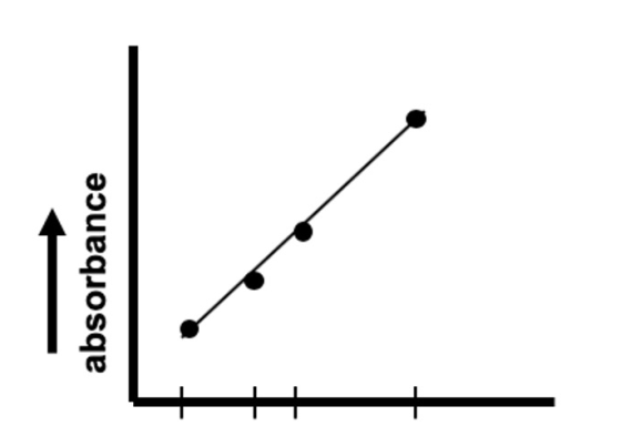 absorbance