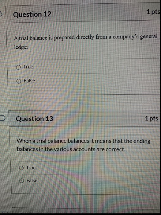 Question 12 1 pts A trial balance is prepared directly from a companys general ledger O True O False Question 13 1 pts When