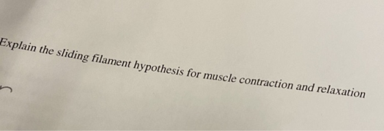 Explain the sliding filament hypothesis for muscle contraction and relaxation