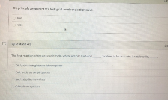 The principle component of a biological membrane is triglyceride True False Question 43 1p The first reaction of the citric a
