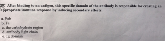 29. After binding to an antigen, this specific domain of the antibody is responsible for creating an appropriate immune respo