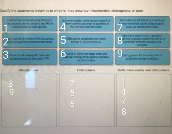 Classify the statements below as to whether they describe mitochondria, chloroplasts, or both. Cannot live independently beca