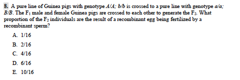 8. A pure line of Guinea pigs with genotype AlA; b/b is crossed to a pure line with genotype ala BB. The Fi male and female Guinea pugs are crossed to each other to generate the F2-What proportion of the F2 individuals are the result of a recombinant egg being fertilized by a recombinant sperm? E. 10/16