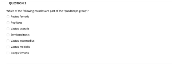 QUESTION 3 Which of the following muscles are part of the quadriceps group? Rectus femoris Popliteus Vastus lateralis Semit