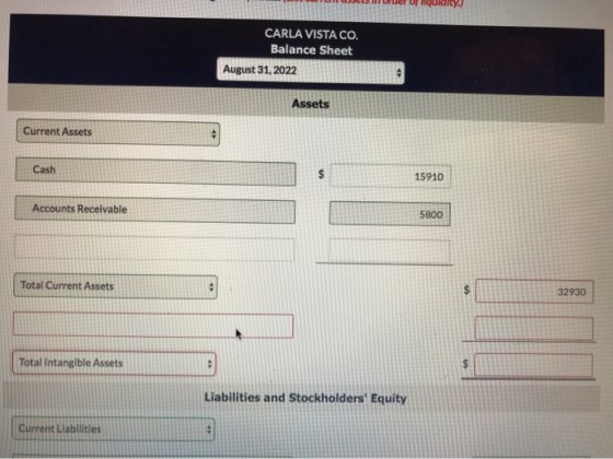 Uusi uuel opriulaity) CARLA VISTA CO. Balance Sheet August 31, 2022 Current Assets Cash 15910 Accounts Receivable 5800 Total