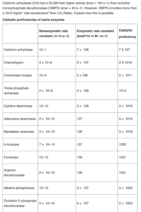 Carbonic anhydrase (CA) has a 25,000-fold higher activity (kcat = 106 s-1) than orotidine monophosphate decarboxylase (OMPD)