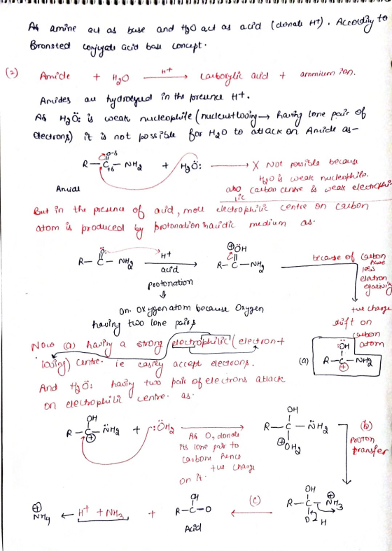 WUUUUUUUUUUUUUUUUUUUUWWWWWWWWWWWWWWWWWWWW As amine au as base and to act as aud (donale Ht). According to Bronsted conjugate