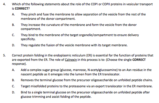 4. Which of the following statements about the role of the CoPl or CoPll proteins in vesicular transport is CORRECT? A. They pinch and fuse the membrane to allow separation of the vesicle from the rest of the membrane of the donor compartment. B. They increase the curvature of the membrane and form the vesicle from the donor compartment. c. They bind to the membrane of the target organelle/compartmentto ensure delivery specificity. D. They regulate the fusion of the vesicle membrane with its target membrane. 5. Correct protein folding in the endoplasmic reticulum (ER) is essential for the function of proteins that are exported from the ER. The role of Calnexin n this process is to: Choose the single CORRECT response A. Add a complex sugar group (glucose, mannose, N-acetylglucosamine) to anAsn residue in the nascent peptide as it emerges into the lumenfrom the ER translocator. B. Removes the terminal glucose from the precursor oligosaccharide on unfolded peptide chains. c. Target misofolded proteins to the proteasome via an export translocato in the ER membrane. D. Bind to a single terminal glucose on the precursor oligosaccharide on unfolded peptide after glucose trimming and assist folding of the peptide.