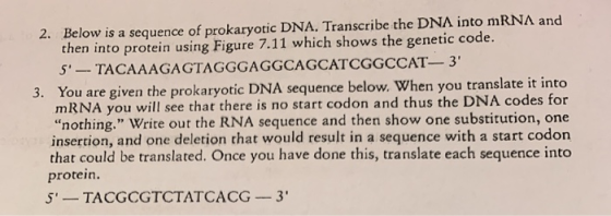 2. Below is a sequence of prokaryotic DNA. Transcribe the DNA into mRNA and then into protein using Figure 7.11 which shows t