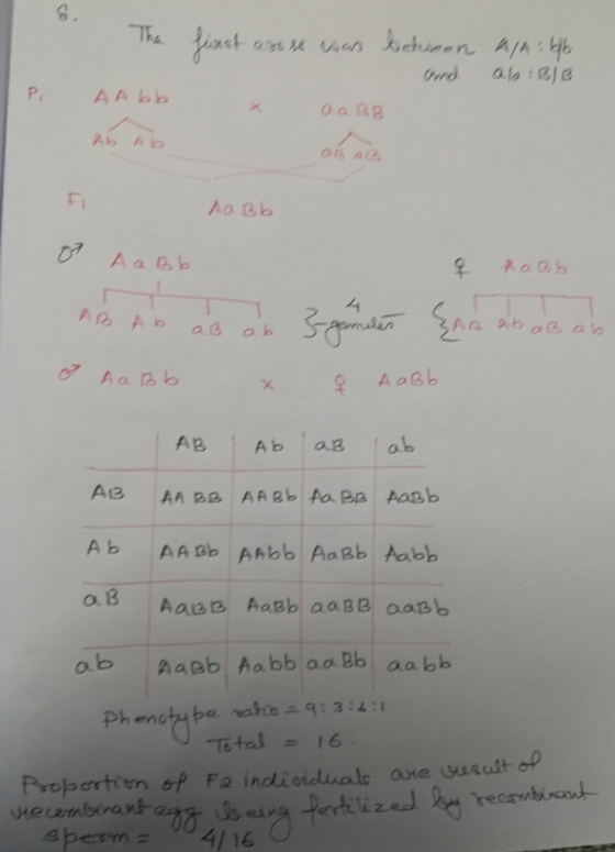 8 XAabh ob Aaeb Aabb oa Bb aabb Ph enota be rahi:3:4:1