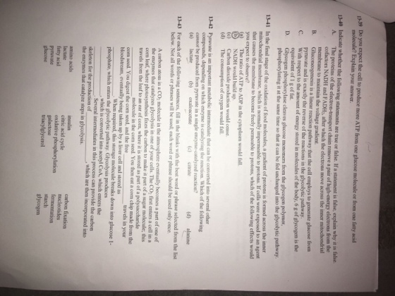 1 39 Do expect the cell to produce more ATP from one glucose molecule or from one fatty acid molecule? Explain your answer. 13-40 Indicate whether the following statements are true or false. Ifa statement is false, explain why it is fal The proteins of the electron-transport chain remove a pair of high-energy electrons from the cofactors, NADH and which the electrons move across the inner mito membrane to maintain the voltage gradient. Glucon a B. is linear reaction pathway that the cell employs to generate glucose from C. pyruvate and is exactly the reverse of the reactions in the glycolytic pathway. is the With respect to the amount ofenergy molecules of the body, 6 gofglycogen equivalent of g offat. Glycogen phosphorylase cleaves glucose monomers from the glycogen polymer, phosphorylating it at the same time so that it can be fed unchanged into the glycolytic pathway. 13-41 In the final stage of the oxidation of food molecules, a gradient of is across the inner protons mitochondrial membrane, which is normally impermeable to protons. If cells were exposed to an agent that causes the membrane to become freely permeable to protons, which of the following effects would you expect to observe? a The ratio of ATP to ADP in the cytoplasm would fall. b NADH would build up. Carbon dioxide production would cease. (d) The consumption of oxygen would fall. 13.42 Pyruvate is an important metabolic intermediate that can be converted into several other on which enzyme catalyzing the reaction. Which ofthe cannot be produced from p single enzyme catalyzod reaction (a) lactate b) oxaloacetate (c) (d) alanine 13-43 For each of the following sentences, fill in the blanks with the best word or phrase selected from the list below. Not all words or phrases will be used, each word or phrase should be used only once. A carbon atom in a molecule in the atmosphere eventually becomes of one of the enzymes that catalyzes CO2 first enters a cell in a leaf, where photosynthesis fixes the carbon to make itpart of a sugar molecule, this travels from the leaf to an ear of com, where it is as part of a polysaccharide corn seed. You digest molecule in the com seed. You then cat a com chip made from the the corn seed, and the free travels in your bloodstream, eventually being taken up by a liver cell and stored as When required, this storage molecule breaks down into glucose 1- phosphate, which enters the glycolytic Glycolysis produces which is converted into acetyl CoA, which enters the Several intermediates in this process can provide the carbon skeleton for the production of which are then incorporated into the enzymes that catalyze steps in glycolysis. amino acids insulin carbon fixatio citric acid cycle nucleotides oxidative phosphory ation fermentation pyruvate glycogen