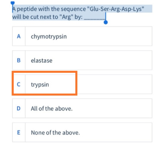A peptide with the sequence Glu-Ser-Arg-Asp-Lys will be cut next to Arg by: _ A chymotrypsin B elastase trypsin All of th