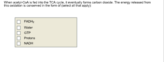 When acetyl-CoA is fed into the TCA cycle, it eventually forms carbon dioxide. The energy released from this oxidation is conserved in the form of (select all that apply): FADH2 Water GTP Protons NADH