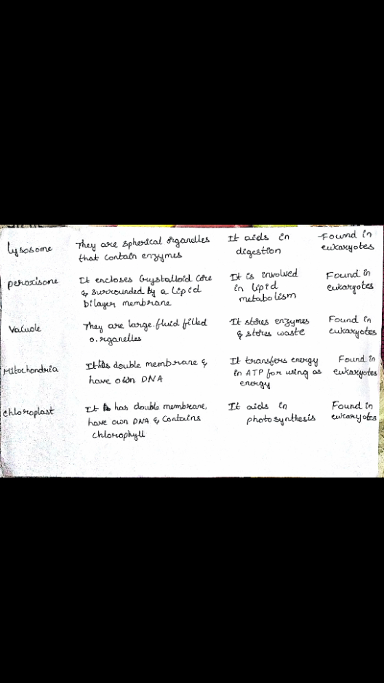 -Found i eukavyotes oome that Contaen en mus dkaestlon bila誉 membaare mubobo lism eukaryotes Vofuole tores waste exyetes ene Found photo synthesis «kanyofes