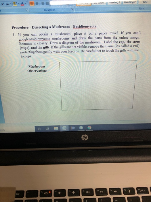 pot... heading 1 Heading 2 Title Paragraph Styles Procedure - Dissecting a Mushroom - Basidiomycota 1. If you can obtain a mu
