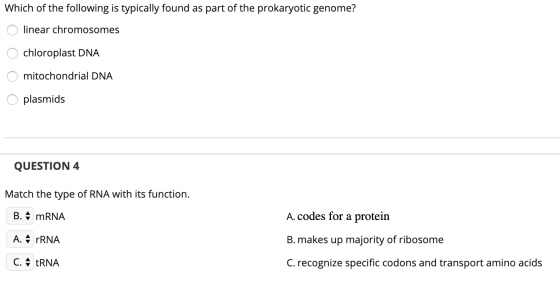 Which of the following is typically found as part of the prokaryotic genome? O linear chromosomes O chloroplast DNA O mitocho