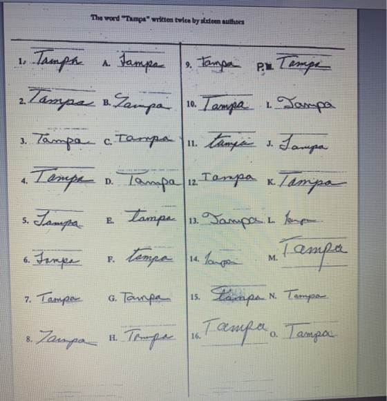 The word Tampa written twice by sixteen authors 1. A. 2. Tampa Tampa Tampa p... Tampe Tampe & Tampa 0. Tampa Tampa 3. Tampa