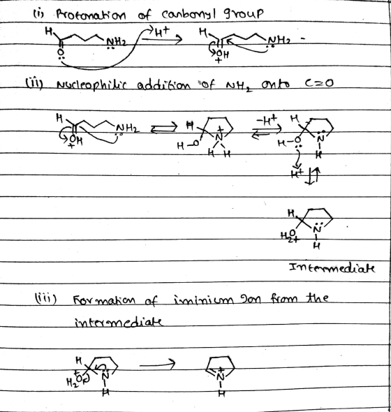 i protonation of carbonyl group ht HO NH2 904 ܫܡq NH2 Cilj nucleophilic addition of NHy onto C20 H -Ht H -NH₂ H HO H-.. Hit f