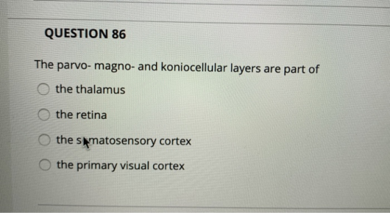 QUESTION 86 The parvo-magno- and koniocellular layers are part of the thalamus the retina the smatosensory cortex O the prima