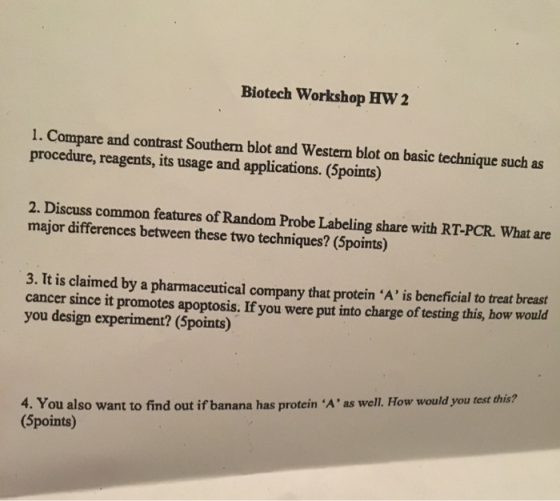Biotech Workshop HW 2 1. Compare and contrast Southern blot and Western blot on basic technique such as procedure, reagents,