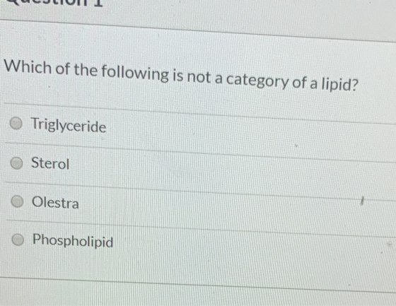 Which of the following is not a category of a lipid? Triglyceride Sterol O Olestra O Phospholipid
