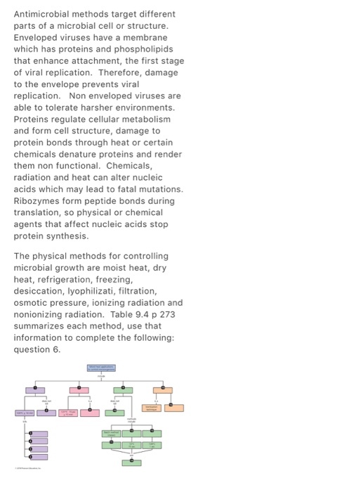 Antimicrobial methods target different parts of a microbial cell or structure Enveloped viruses have a membrane which has proteins and phospholipids that enhance attachment, the first stage of viral replication. Therefore, damage to the envelope prevents viral replication. Non enveloped viruses are able to tolerate harsher environments. Proteins regulate cellular metabolism and form cell structure, damage to protein bonds through heat or certain chemicals denature proteins and render them non functional. Chemicals radiation and heat can alter nucleic acids which may lead to fatal mutations Ribozymes form peptide bonds during translation, so physical or chemical agents that affect nucleic acids stop protein synthesis The physical methods for controlling microbial growth are moist heat, dry heat, refrigeration, freezing desiccation, lyophilizati, filtration, osmotic pressure, ionizing radiation and nonionizing radiation. Table 9.4 p 273 summarizes each method, use that information to complete the following question 6.