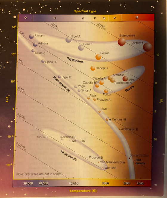 Spectral type 106 Alnilam 、、\Rigel A 、、\ Betelgeuse Adhara Deneb Antares 、 104 Spica A Polaris Spica B 、\-pergian Canopus Arcturus Rigel B ˋ 102 Capella A Mira Capella B. Vega Sirius A Aldebaran A Giants Altair Pollux Procyon A Sun 5 Centauri B CAldebaran B 10-2 40 EridaniB Sirius B 丶丶丶 . . Wolf 1346 丶 10 Barnards Sta Red dwarfs Ohar Procyon B Van Maanens Star 10-4 Wolf 486 、 Note: Star sizes are not to scale 30,000 20,000 9,999 5009 000 2000 Temperature (K)