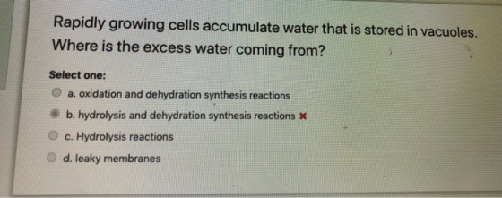 Rapidly growing cells accumulate water that is stored in vacuoles. Where is the excess water coming from? Select one: a. oxid