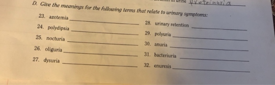 D. Give the meanings for the following terms that relate to urinary symptoms: 23. azotemia 24. polydipsia 25. nocturia 26. ol