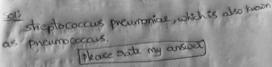 Sols sheplococcus pneumoniae, which is also known as pneumococcus please rate my answer