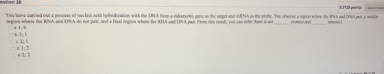 estion 20 J125 points You have carried out a process of nucleic acid hybridization with the DNA from a eukaryotic gene as the