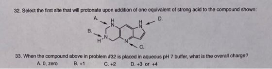 32. Select the first site that will protonate upon addition of one equivalent of strong acid to the compound shown: A. D. B.