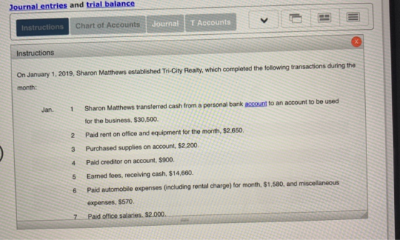 Journal entries and trial balance Instructions Chart of Accounts 1 Journal T Accounts Instructions On January 1, 2019, Sharon