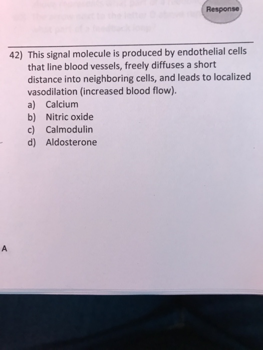Response 42) This signal molecule is produced by endothelial cells that line blood vessels, freely diffuses a short distance into neighboring cells, and leads to localized vasodilation (increased blood flow). a) Calcium b) Nitric oxide c) Calmodulin d) Aldosterone