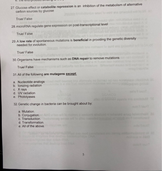 e. lle en-PruuUCI U my to 27. Glucose effect or catabolite repression is an inhibition of the metabolism of alternative carbo