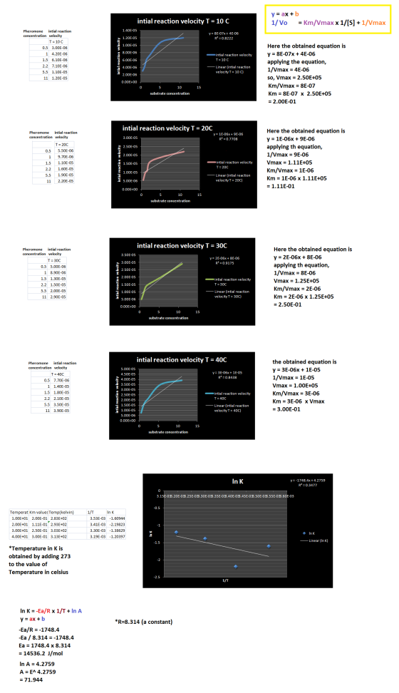 intial reaction velocity T = 10 C y = ax + b 1/ Vo = Km/Vmax x 1/[S] + 1/Vmax 1.40E-05 y=8E-07x + 4E-06 R2 = 0.8222 1.20E-05