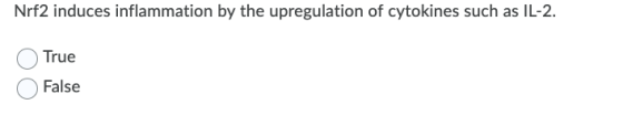 Nrf2 induces inflammation by the upregulation of cytokines such as IL-2. True False
