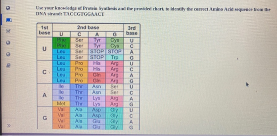 Use your knowledge of Protein Synthesis and the provided chart, to identify the correct Amino Acid sequence from the DNA stra