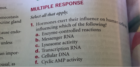 nus. MULTIPLE RESPONSE Select all that apply 1. Hormones exert their influence on influencing which of the followino?uman a.