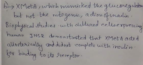 bXMetA, which mimicked the glucoregulatorn but not the mitogenic, action of insulin. Biophysical studies with cultured cellse