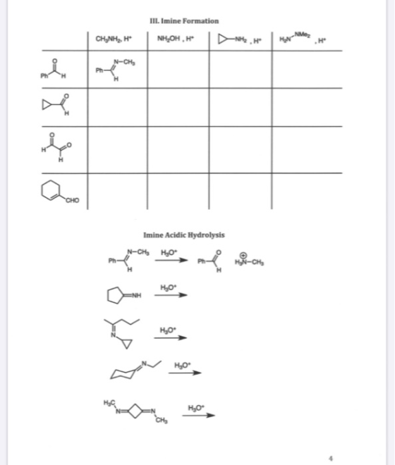 III. Imine Formation CHANH, H . N-CH Kylld Imine Acidic Hydrolysis Hot HO