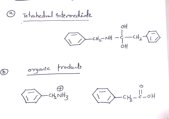 @ Tetrahedral intermediate 애 애 organic products CH-C-OH