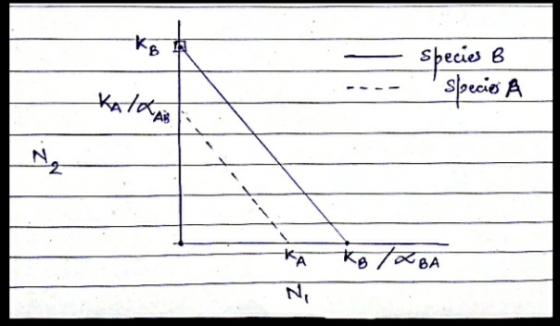 Species B Species Å СеА