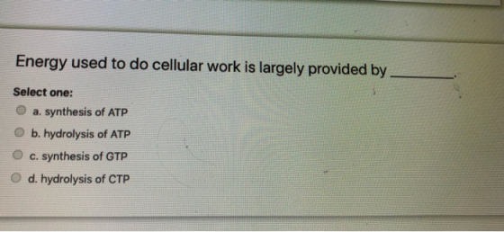 Energy used to do cellular work is largely provided by Select one: a. synthesis of ATP b. hydrolysis of ATP C. synthesis of G