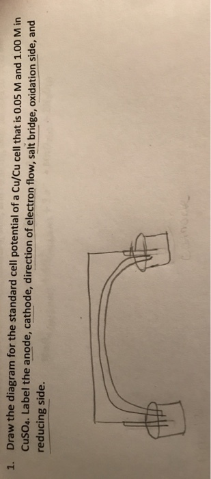 Draw the diagram for the standard cell potential of a Cu/Cu cell that is 0.05 M and 1.00 M in cusoa. Label the anode, cathode, direction of electron flow, salt bridge, oxidation side, and reducing side. 1.