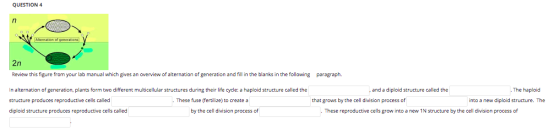 QUESTION 4 2n Review this figure from your lab manual which gives an overview of alternation of generation and fill in the bl