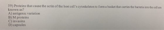 59) Proteins that cause the actin of the host cells cytoskeleton to form a basket that carries the bacteria into the cell ar