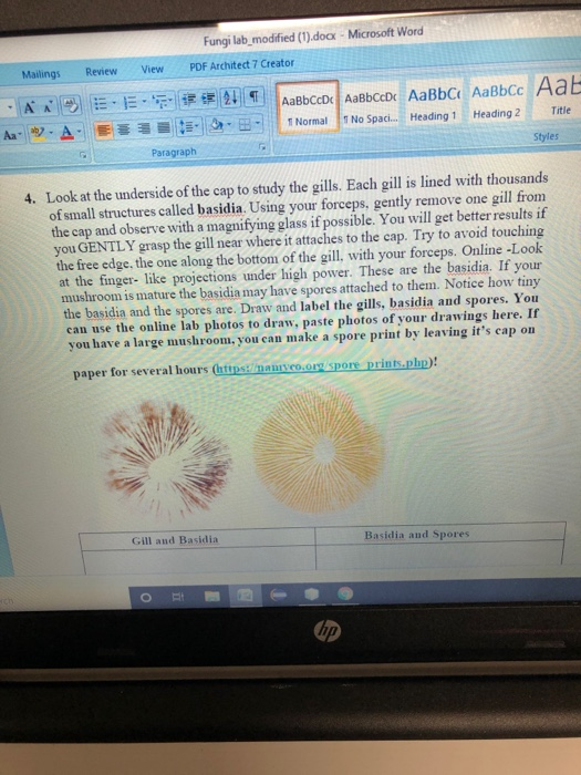 Fungi lab_modified (1).docx - Microsoft Word PDF Architect 7 Creator Mailings Review View Аавьссос Аавьссоr Аавьс. Аавьсс Аав