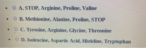 . O A. STOP, Arginine, Proline, Valine • O B. Methionine, Alanine, Proline, STOP • @ C. Tyrosine, Arginine, Glycine, Threonin
