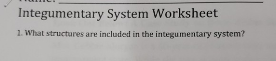 Integumentary System Worksheet 1. What structures are included in the integumentary system?